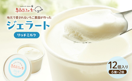ジェラート ミルク アイス ジェラート【12個】