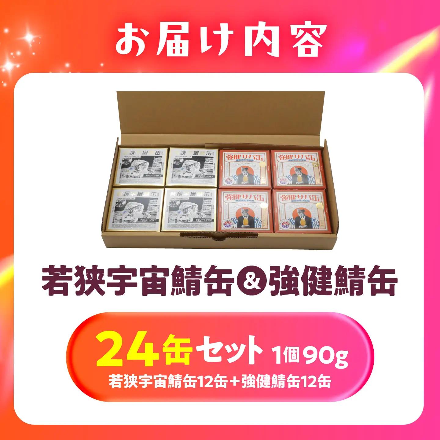 若狭宇宙鯖缶＆強健サバ缶アマニ油入り 食べ比べ24缶セット / サバ缶 鯖缶 宇宙日本食 アマニ油 オメガ3 保存食 小浜市 / 福井缶詰[BFAB083]