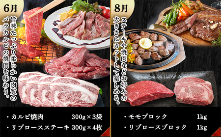 宮崎牛定期便(6回お届け) Eコース_TAI6-2501_(都城市) 宮崎牛 ウデ モモ バラ カルビ リブロース 肩ロース サーロイン スライス 切り落とし ブロック 焼肉 ステーキ