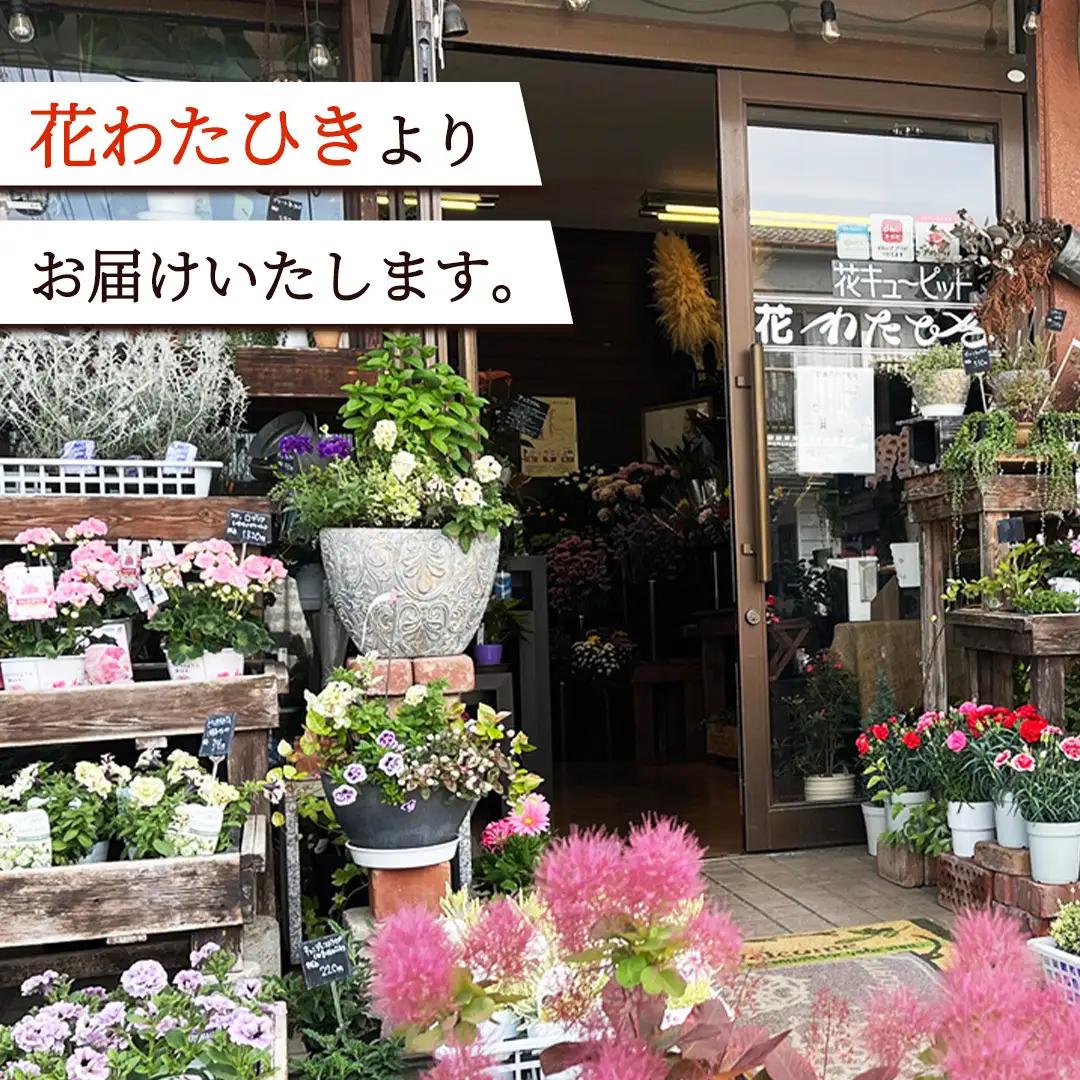 【12ヶ月定期便】季節のフラワーアレンジメント＜S＞(BY013)