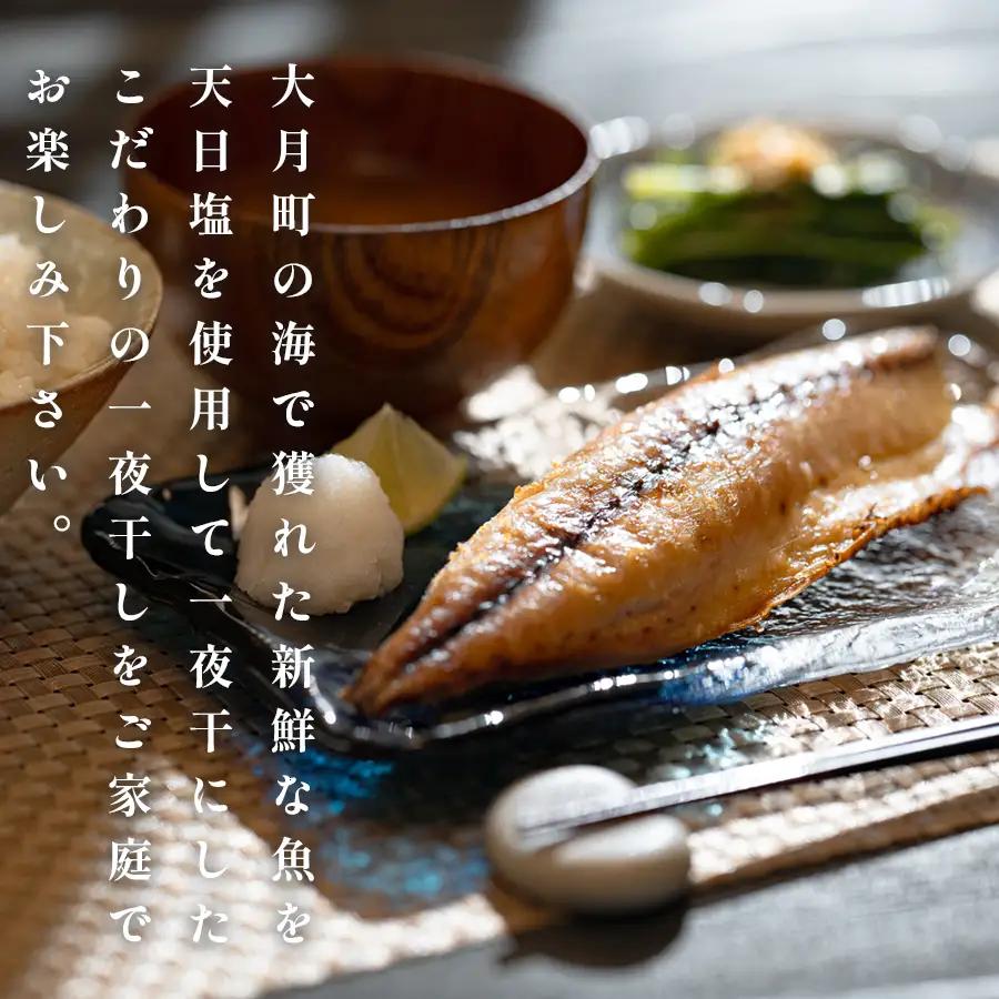 一夜干しセット 12枚-15枚 天日塩 無添加 干物 詰め合わせ 冷凍便  海鮮セット 焼くだけ簡単