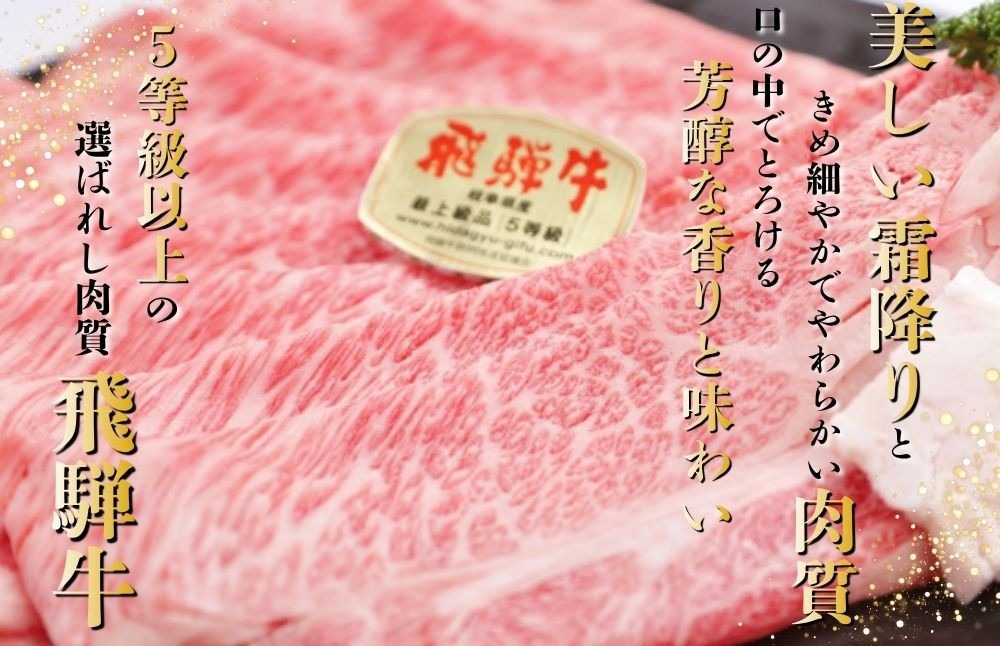 約1000gもも肉すき焼き用　氷温（R）熟成　飛騨牛A5等級　プロトン凍結 [No.529]
