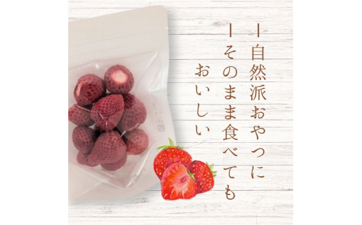 メルカドレグメス　フリーズドライフルーツ　いちご ／ フリーズドライフルーツ フリーズドライ フルーツ 果物 くだもの いちご イチゴ 苺 自家製 3000円