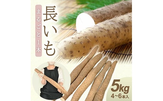 1324　長いも 5.0kg（4～6本）山形県遊佐町産