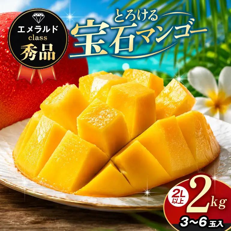 ぼうけんの国 宝石マンゴー 【秀品】アーウィンマンゴー エメラルドclass 約2kg ku01-004