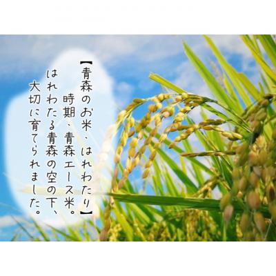ふるさと納税 鰺ヶ沢町 令和7年産 はれわたり 無洗米 10kg (5kg×2袋) [53841710] |  | 02