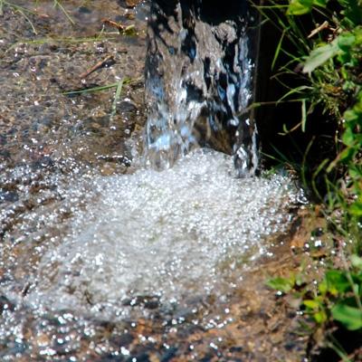 ふるさと納税 南魚沼市 南魚沼産コシヒカリ 無洗米5kg【栽培期間農薬を減らして作ったお米】 令和6年産　 |  | 02