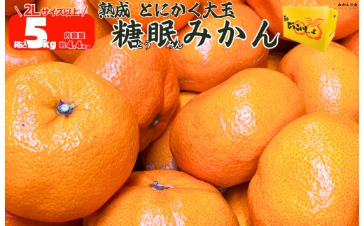 
            熟成 みかん とにかく 大玉 箱込5kg ( 内容量 4.4kg )2Lサイズ以上 秀品 優品 混合 有田みかん 和歌山産 産地直送 家庭用【みかんの会】
          