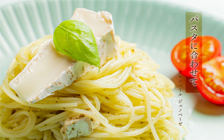 【定期便2回】熟成チーズセット（ ゴーダチーズ100g・カマンベールチーズ200g）