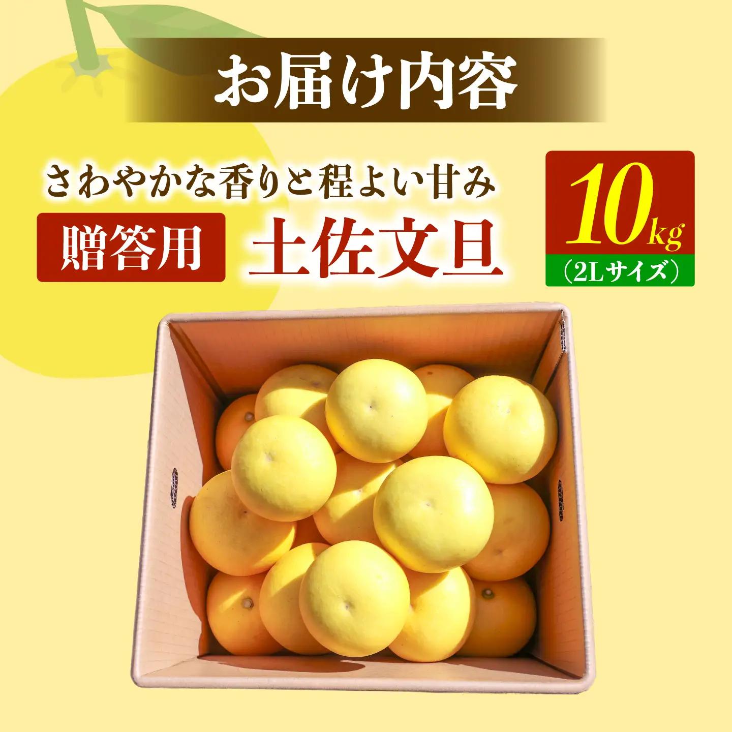 【先行予約】土佐文旦の創始 宮地文旦園の土佐文旦 贈答用2L 約10キロ 20~22個入り 10kg〈2027年3月上旬～4月下旬〉 高知県 土佐市【宮地文旦園】[BQBP005]