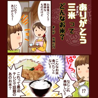 ふるさと納税 田上町 【令和7年産】いのちの壱 精米10kg(5kg×2袋) お米コンテスト受賞者の米 |  | 01