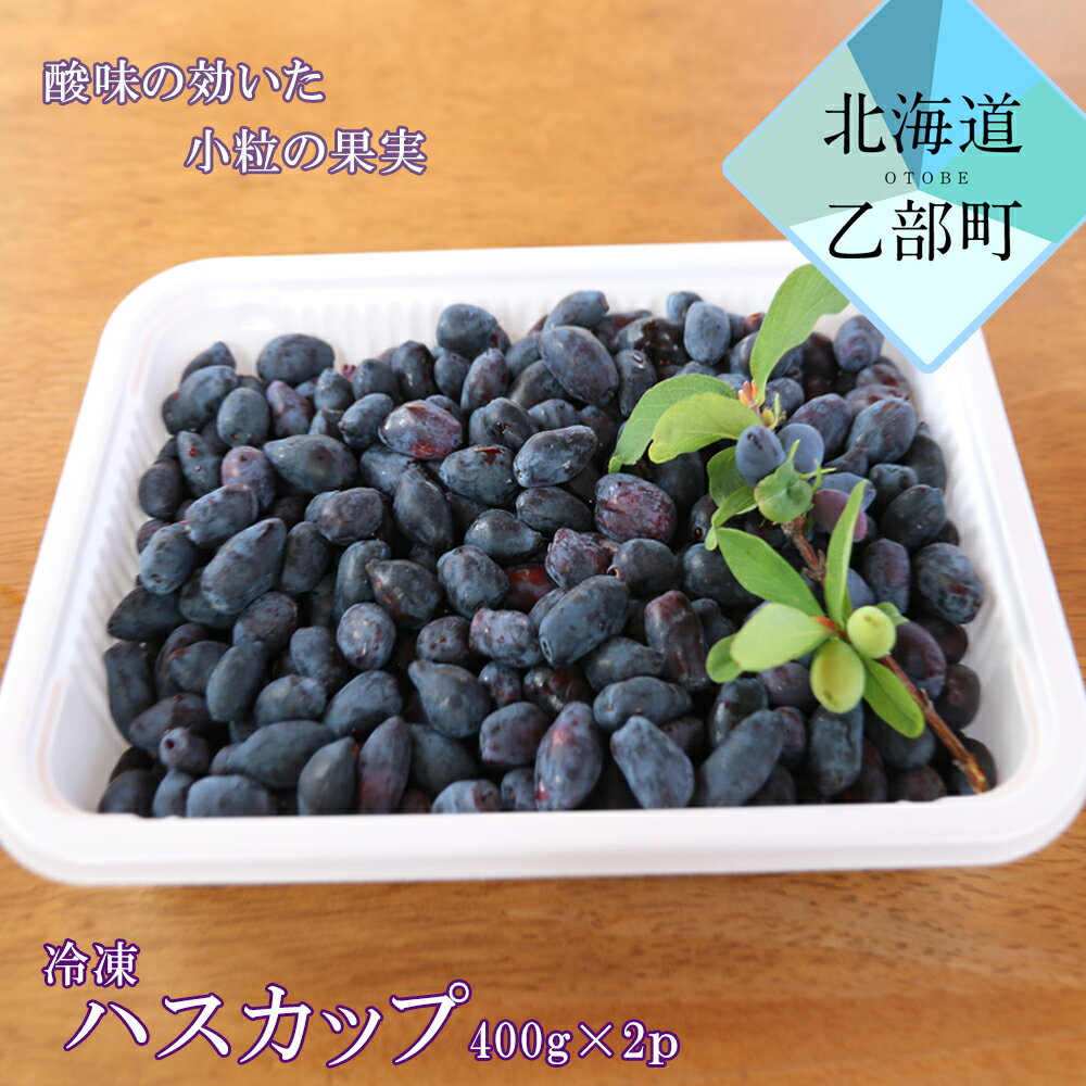 【ふるさと納税】北海道の冷凍果実ハスカップ 天然の甘酸っぱさをそのままお届け 《山科農園 冷凍ハスカップ：400g×2パック》＜ 北海道 ハスカップ 摘み立て冷凍 手摘み 使い方色々 抗酸化 ミラクルフルーツ 果物 くだもの 果実酒 ＞