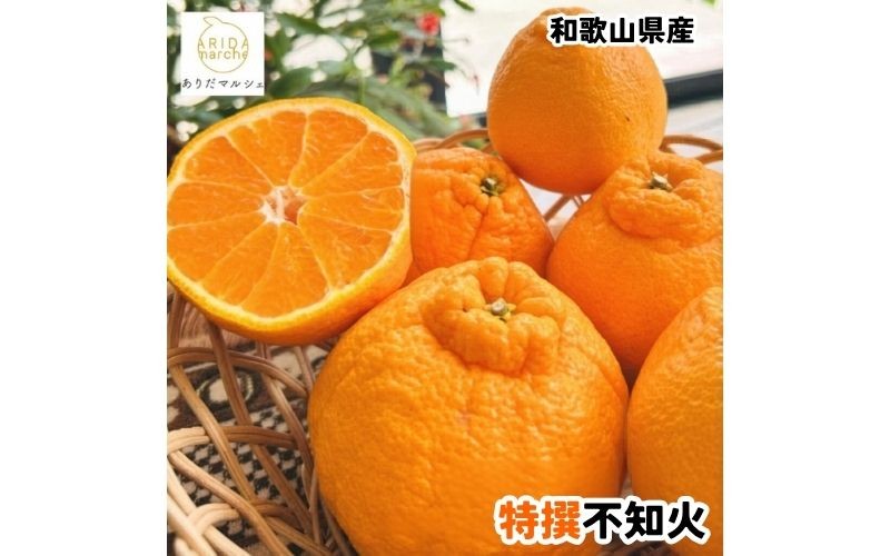 
                  特選 濃厚 不知火 約3kg+200g(傷み補償分)【2027年1月下旬～3月下旬に順次発送】【AA-ard258】
                