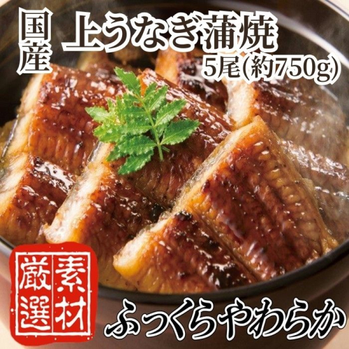 E138.【国内産】上うなぎ蒲焼.5尾（約750g）『1～2ヶ月前後でお届け！！』