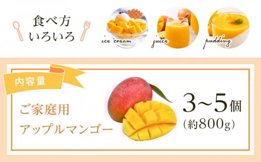 【先行予約】高知県南国市産/ご家庭用アップルマンゴー(2026年6月〜発送)【マンゴー フルーツ くだもの デザート 高評価 人気 おすすめ】【マンゴー アップルマンゴー フルーツ 果物 くだもの 食