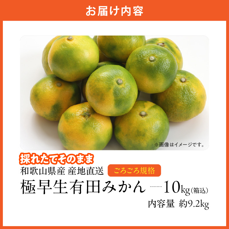 MK1078_【2025年先行予約】みかん 極早生 山から直送 箱込 10kg ( 内容量 9.2kg ) 採れたてそのままごろごろ規格 有田みかん 和歌山県産