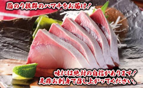 遊子 ハマチ セット 計 1kg 愛媛県漁業協同組合遊子支所 数量限定 急速冷凍 皮なし 皮付き ハマチカマ ブロック 刺身 塩焼き 煮付け アレンジ 冷凍 国産 愛媛 宇和島 D012-022005