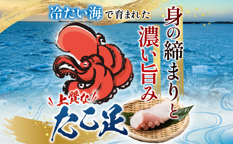 【北海道根室産】たこ足800g前後～1.4kg前後×1本 A-36051
