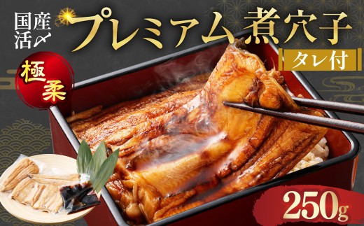 飯田商店 国産活〆 プレミアム 煮穴子 250g（ 250g×1袋 ） タレ（50g）付 魚介 魚介類 鮮魚 海鮮 魚 お魚 煮込み あなご 穴子 煮穴子 おかず 惣菜