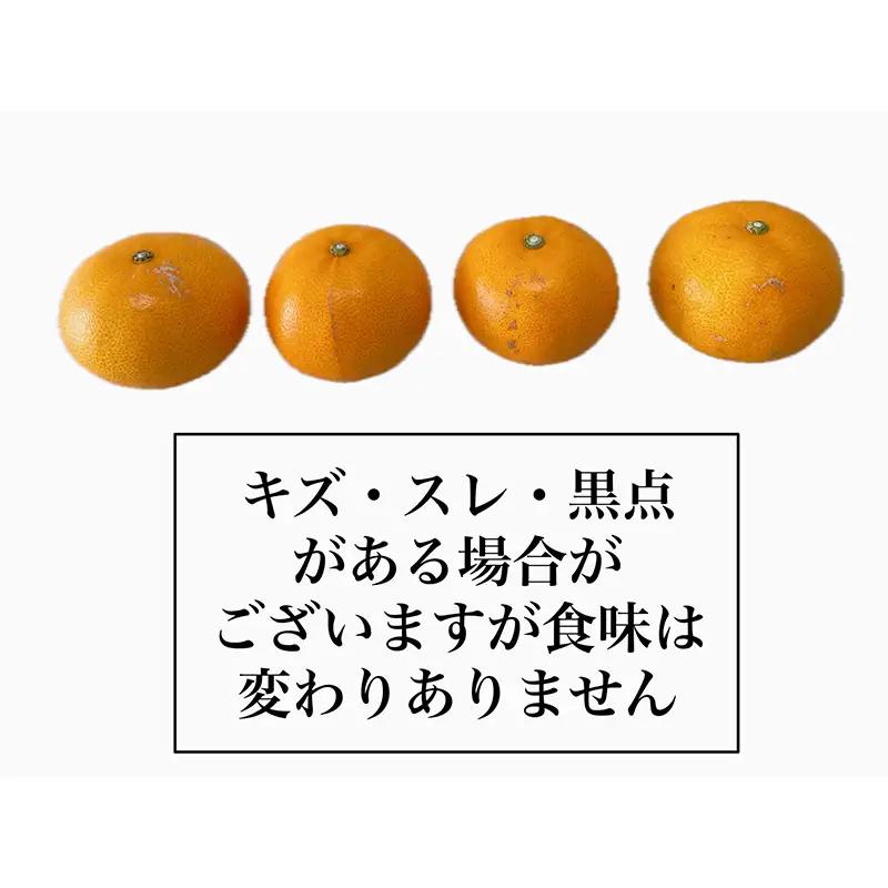 【全3回】食べきり 旬のフルーツ定期便 まつやま農林水産物ブランド | フジ・アグリフーズ みかん 愛媛蜜柑 愛媛ミカン みかん ミカン mikan 蜜柑 柑橘 フルーツ 果物 シャインマスカット ぶ