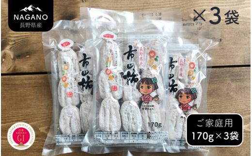 MS43-25A 市田柿 170g×3袋（ご自宅用）/ 2026年1月上旬～2月下旬頃 配送予定 // 長野県 南信州 干し柿 干柿 市田柿 高糖度 ドライフルーツ 家庭用 自宅用
