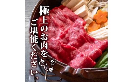 【定期6回】土佐黒毛和牛ウデ肉しゃぶしゃぶ用 計4.8kg【800g×6ヶ月連続お届け】 3Aコース