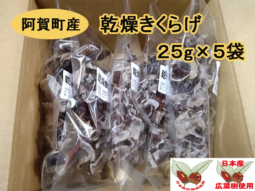 
                  乾燥きくらげ 25g 5袋 (計125g) 新潟県 阿賀町産 乾燥キクラゲ 乾燥木耳 きくらげ キクラゲ 木耳 乾燥 サラダ 炒め物 スープ 煮物 食物繊維 きのこ キノコ 国産 
                