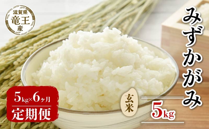 
            【 先行予約 】 令和7年産 新米 予約 みずかがみ 玄米 5kg 定期便 6ヶ月 みずかがみ 定期 6か月  5kg × 6回 計 30kg 米 滋賀県 竜王町 国産 農家直送 特別栽培米 ミズカガミ  2025年産 国産 農家直送 環境こだわり お米 こめ おこめ 産地直送 送料無料 滋賀県 竜王町 ふるさと納税
          