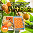 【ふるさと納税】【2025年度先行予約】房州びわ 2Lサイズ 12玉入 ／ ビワ 枇杷 大玉 産地直送 千葉県 特産 フルーツ びわ 果物 F22X-004