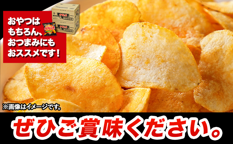 本別産原料使用!コイケヤ カラムーチョチップスホットチリ味 12袋 本別町観光協会 《60日以内に出荷予定(土日祝除く)》北海道 本別町 ポテト ポテトチップス 菓子 スナック スナック菓子 ホットチ