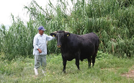 小豆島オリーブ牛ロースすき焼き＜400g＞