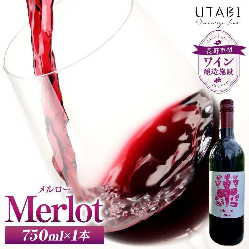 Merlot　メルロー （ワイン） |赤ワイン ぶどう