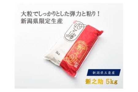 【令和7年度産米】新之助 精米 5kg（5kg×1袋）〈10月上旬以降順次発送〉 |五泉市 新之助