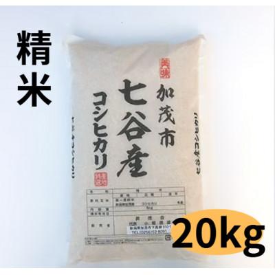 ふるさと納税 加茂市 【新潟県加茂市七谷産】コシヒカリ5kg×4袋 精米 (高柳産・生産者指定)