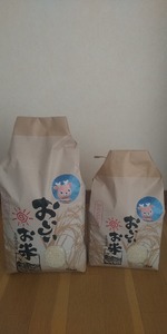 米 ヒノヒカリ 5㎏(令和7年産)　白米【18-047】