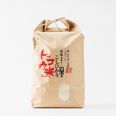 ふるさと納税 津山市 【突鉱土育ち】津山産トッコウ米(こしひかり)5kg |  | 03