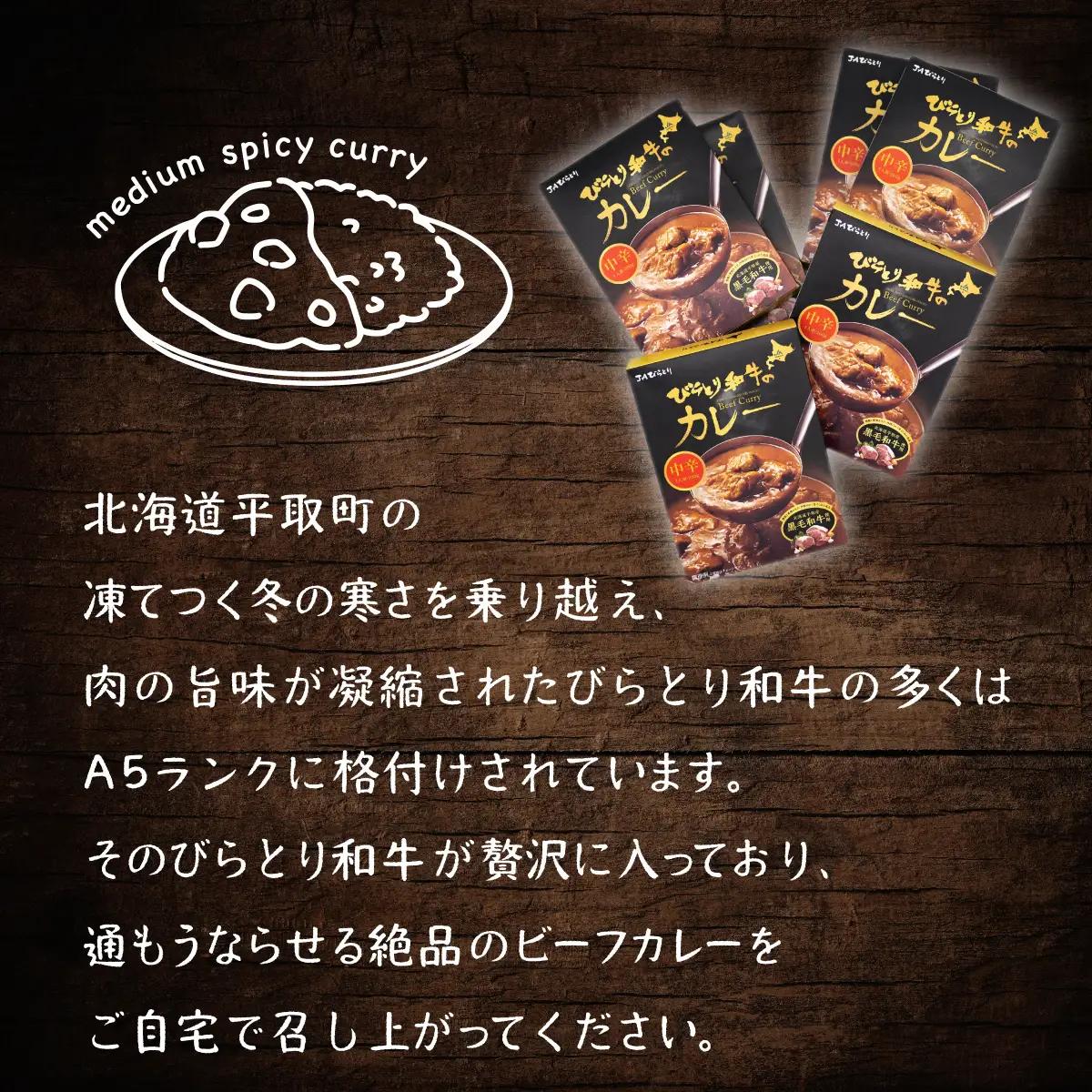 びらとり和牛カレー中辛200g×６箱 BRTH019