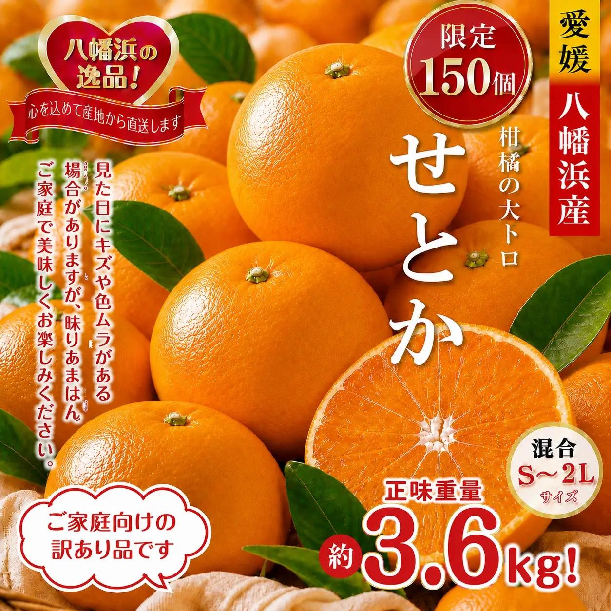【先行受付】限定150個　柑橘の大トロ!「せとか」約3.6キロ【訳あり品・家庭向け】YWTF063