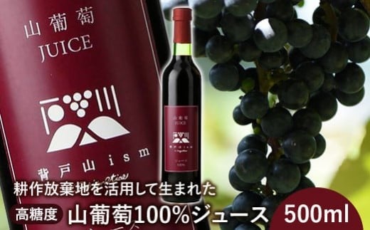 
            ＜耕作放棄地を活用して生まれた＞高糖度山葡萄100%ジュース 500ml【0901001】
          