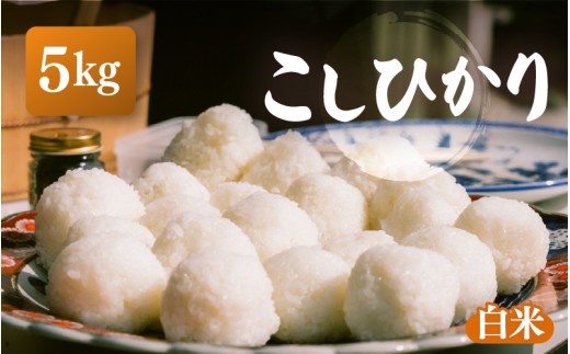 【先行予約】【令和8年産】こしひかり 5kg【白米】【2026年10月中旬以降順次発送】【こめ コシヒカリ 人気品種 ブランド米 5キロ 白米 精米 玄米 おにぎり うまい 福井県ブランド米】 [e26-a015_01]