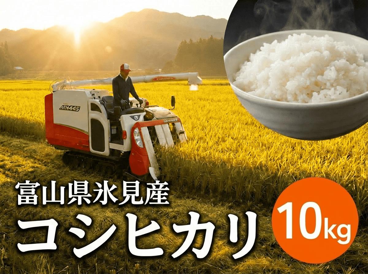 
            令和7年産 富山県氷見産 コシヒカリ 10kg 種類が選べる（玄米 白米 無洗米） 
          