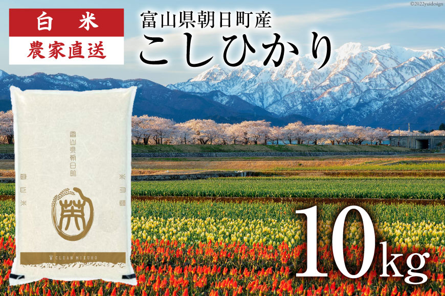 
            期間限定発送 米 令和6年 こしひかり 精米 10㎏ [クリーンみず穂 富山県 朝日町 34310436] お米 コシヒカリ コメ 10キロ ご飯 ごはん 白米 産地直送 一等米  おこめ こめ
          