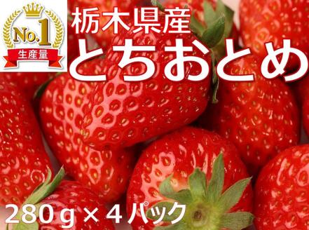 【2月発送】【先行予約】【数量限定】とちおとめ　280g × 4パック｜いちご イチゴ 苺