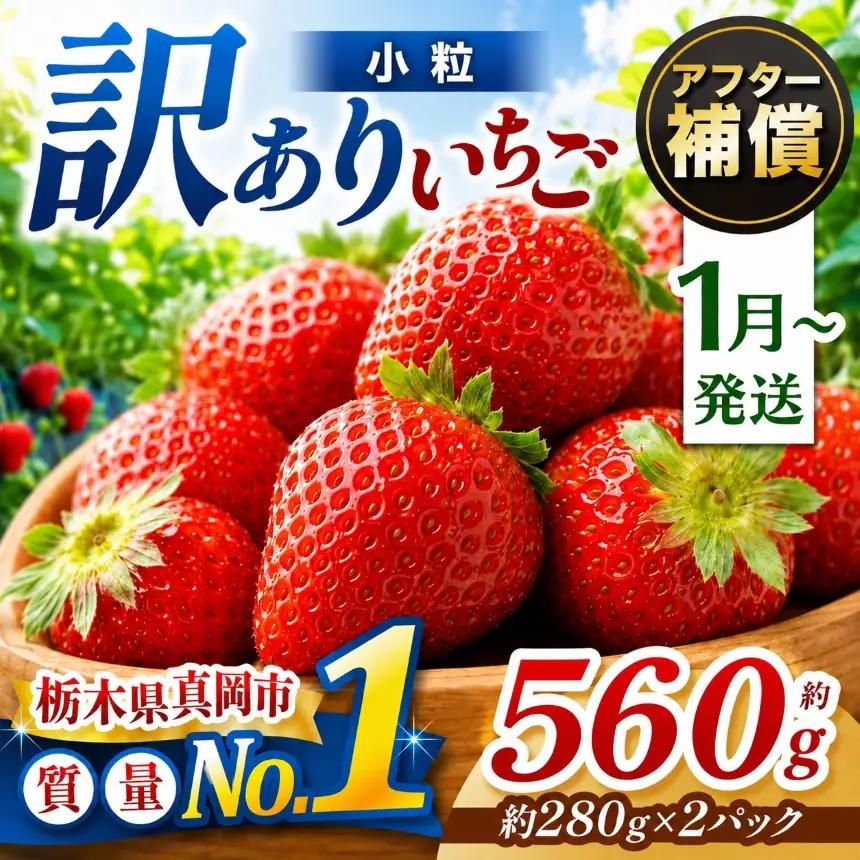 【先行予約受付中】【2027年1月発送】小粒 とちあいか 約560g （280g×2パック）