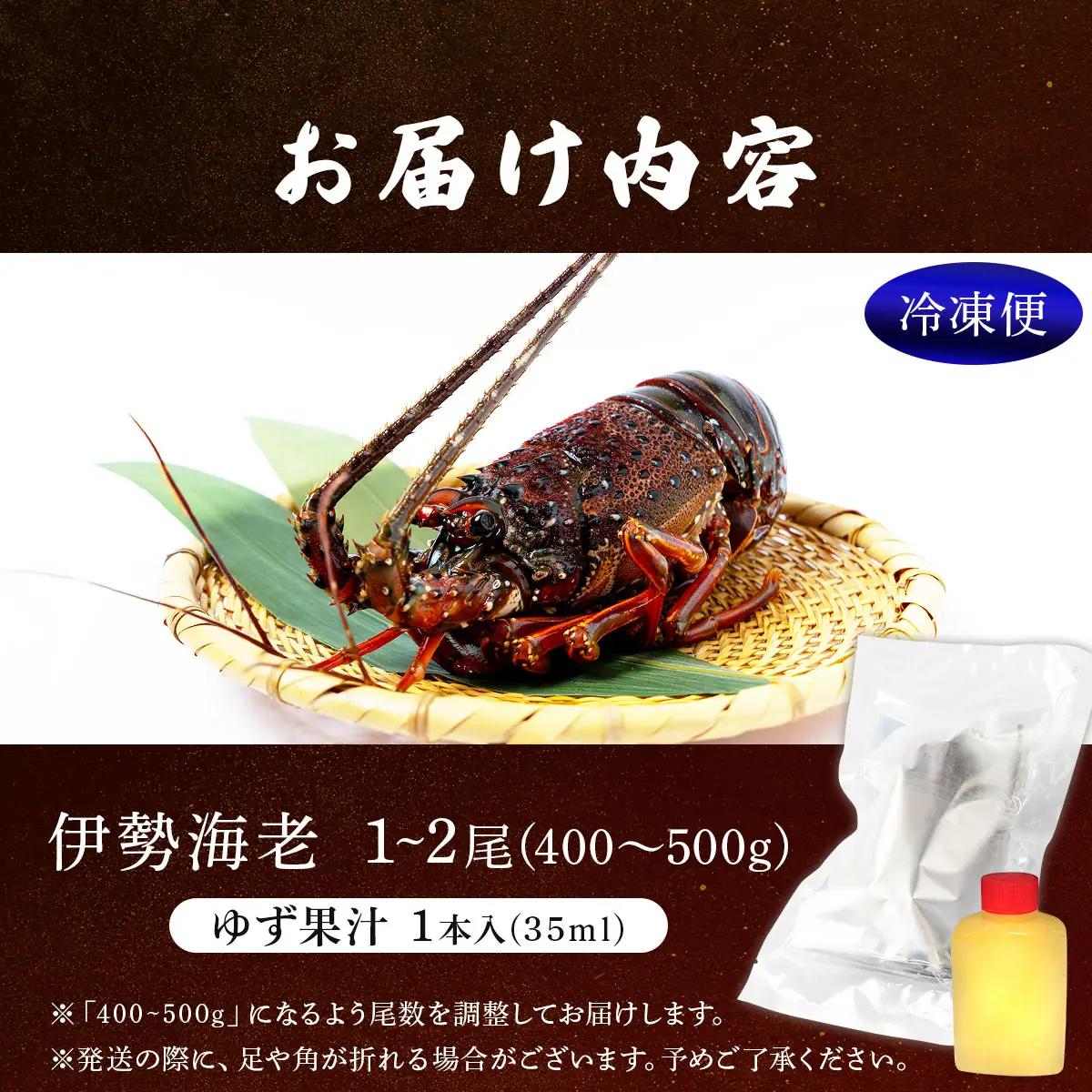 リピーター続出！伊勢海老 400～500g（1～2尾）