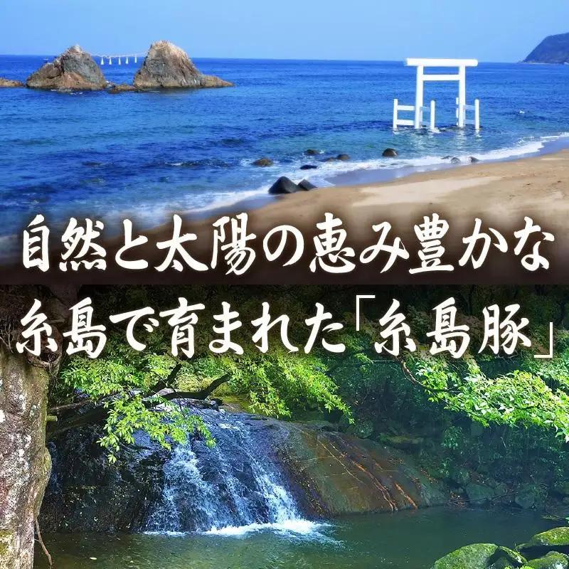 【博多】おぜんや うまか豚まん | 福岡県 返礼品 返礼 お礼の品 お取り寄せグルメ 取り寄せ グルメ お取り寄せ 博多 豚まん ブタまん ぶたまん 中華まん 肉まん 中華 惣菜 お惣菜 おやつ おい