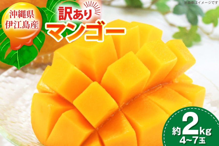 【2027年発送】 訳あり マンゴー  アーウィン種 約 2kg (4〜7玉)  [伊江村マンゴー部会 沖縄県 伊江村 ie47bde320010] 訳ありマンゴー 訳アリ ワケあり 理由あり 沖縄 
