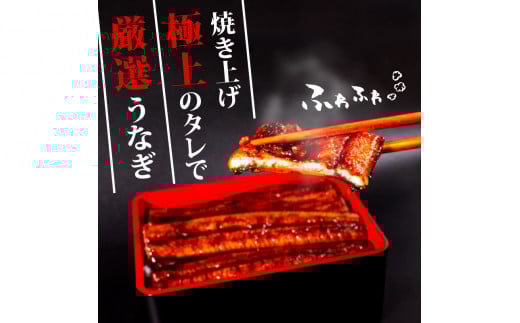 高知県産 養殖 うなぎ 蒲焼 100g～120g×5尾 セット タレ付き 贈答 養殖 肉厚 鰻 土用丑の日 敬老の日 高知県 須崎市