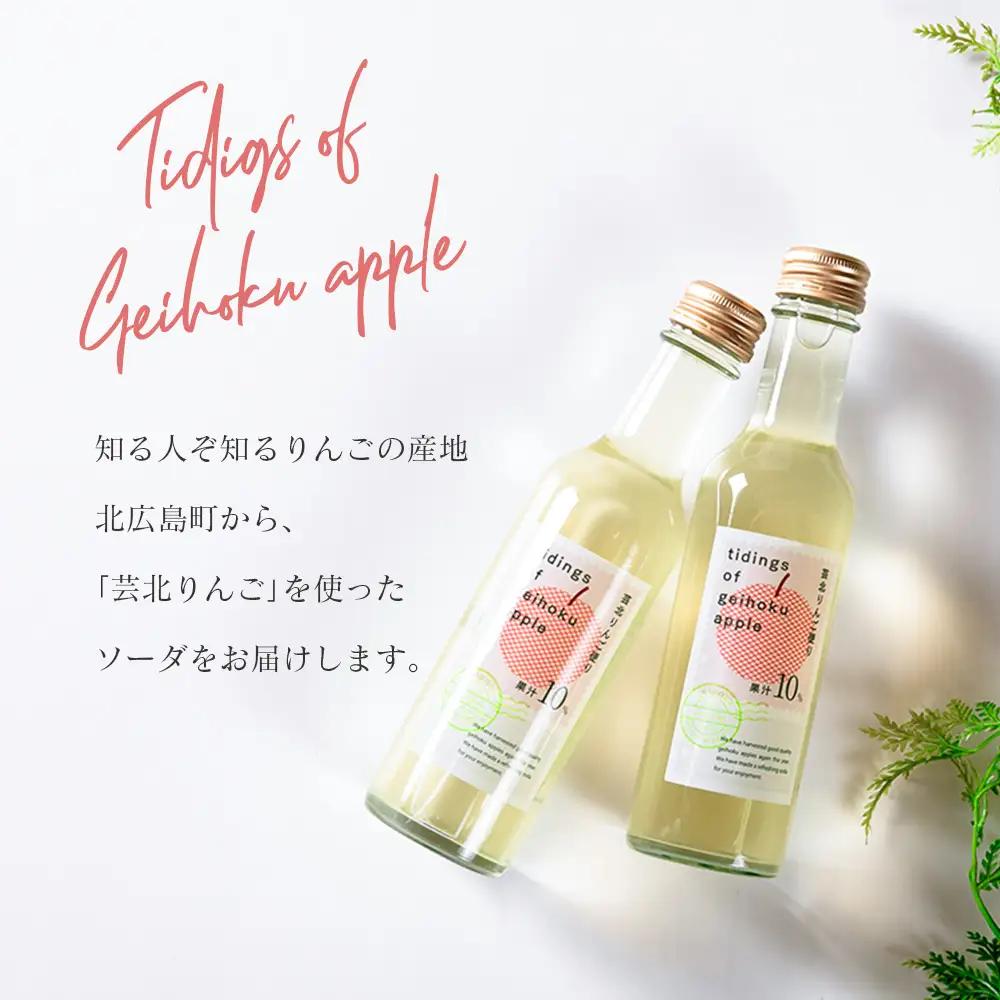 芸北りんご便り（りんごソーダ）20本セット_HA095_007