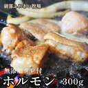 【ふるさと納税】ホルモン焼き 300g（3～4人前）京都牛と牧場の無添加たれで作るホルモン焼き 牛 牛肉 ホルモン ほるもん ホルモン焼き お土産 BBQ アウトドア パーティー 焼くだけ おすすめ 冷凍 簡単 京都 綾部【送料無料】